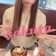 ヒメ日記 2026/03/19 10:46 投稿 サクラ ルパン