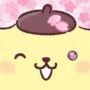 ヒメ日記 2026/04/13 17:02 投稿 サクラ ルパン