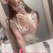 ヒメ日記 2026/04/16 15:02 投稿 サクラ ルパン