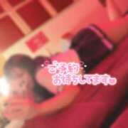 ヒメ日記 2025/04/14 22:46 投稿 ひなの REDROOM (レッドルーム)