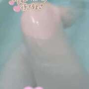 ヒメ日記 2025/04/29 08:15 投稿 藤澤（ふじさわ） ミセス グランデ