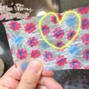 ヒメ日記 2025/06/16 11:30 投稿 藤澤（ふじさわ） ミセス グランデ