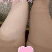 ヒメ日記 2025/07/29 10:49 投稿 藤澤（ふじさわ） ミセス グランデ