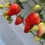 ヒメ日記 2025/03/29 13:36 投稿 かのん ぽちゃらん神栖店