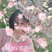 ヒメ日記 2025/04/09 14:05 投稿 ゆな【絶対的な満足を】 さくらんぼ女学院