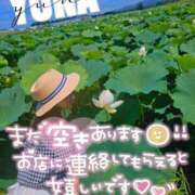 ヒメ日記 2025/08/16 12:08 投稿 ゆな【絶対的な満足を】 さくらんぼ女学院