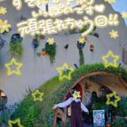 ヒメ日記 2026/01/18 15:45 投稿 ゆな【絶対的な満足を】 さくらんぼ女学院