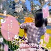 ヒメ日記 2026/02/19 11:03 投稿 ゆな【絶対的な満足を】 さくらんぼ女学院