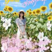 ヒメ日記 2026/07/21 14:00 投稿 ゆな【絶対的な満足を】 さくらんぼ女学院