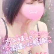 ヒメ日記 2025/03/26 03:34 投稿 ありす【超極えろ優等生♡】 さくらんぼ女学院