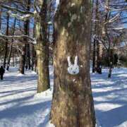 ヒメ日記 2025/03/14 07:39 投稿 あきほ 渋谷じゃっくす