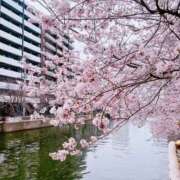 ヒメ日記 2025/03/27 16:10 投稿 ゆら もしも素敵な妻が指輪をはずしたら・・・