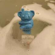 ヒメ日記 2025/05/17 15:03 投稿 つむぎ ちゃんこ葛西浦安店