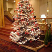 ヒメ日記 2024/12/20 02:22 投稿 今井美代 五十路マダム　広島店