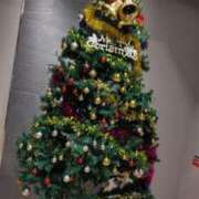 ヒメ日記 2024/12/24 06:52 投稿 今井美代 五十路マダム　広島店