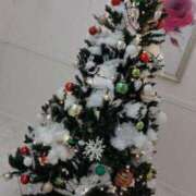 ヒメ日記 2024/12/25 06:50 投稿 今井美代 五十路マダム　広島店