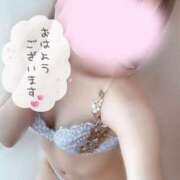 ヒメ日記 2024/12/08 09:17 投稿 めあり いざ候 本館