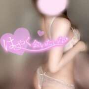 ヒメ日記 2025/01/18 09:37 投稿 めあり いざ候 本館