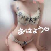 ヒメ日記 2025/01/27 11:07 投稿 めあり いざ候 本館