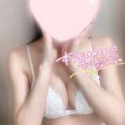 ヒメ日記 2025/01/29 12:07 投稿 めあり いざ候 本館