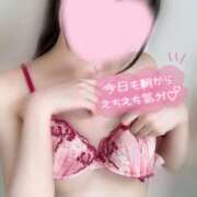 ヒメ日記 2025/02/03 11:47 投稿 めあり いざ候 本館