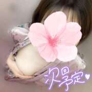 ヒメ日記 2025/03/03 23:55 投稿 めあり いざ候 本館