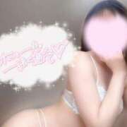 ヒメ日記 2025/03/07 11:57 投稿 めあり いざ候 本館