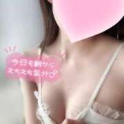 ヒメ日記 2025/03/10 10:47 投稿 めあり いざ候 本館