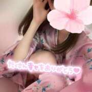 ヒメ日記 2025/03/13 00:06 投稿 めあり いざ候 本館