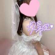 ヒメ日記 2025/03/14 00:27 投稿 めあり いざ候 本館