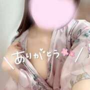 ヒメ日記 2025/03/16 22:15 投稿 めあり いざ候 本館