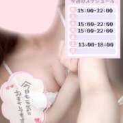 ヒメ日記 2025/03/31 11:17 投稿 めあり いざ候 本館