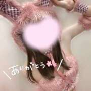 ヒメ日記 2025/04/04 00:07 投稿 めあり いざ候 本館