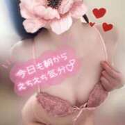 ヒメ日記 2025/04/05 09:57 投稿 めあり いざ候 本館