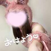 ヒメ日記 2025/04/10 10:37 投稿 めあり いざ候 本館