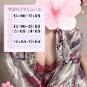 ヒメ日記 2025/04/20 22:57 投稿 めあり いざ候 本館