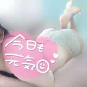 ヒメ日記 2025/04/21 10:57 投稿 めあり いざ候 本館