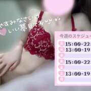 ヒメ日記 2025/04/27 22:37 投稿 めあり いざ候 本館