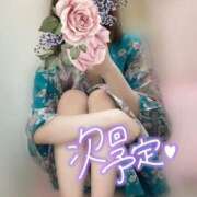 ヒメ日記 2025/05/06 22:51 投稿 めあり いざ候 本館