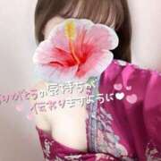 ヒメ日記 2025/05/26 23:37 投稿 めあり いざ候 本館