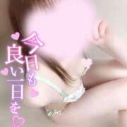 ヒメ日記 2025/06/10 10:17 投稿 めあり いざ候 本館