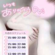 ヒメ日記 2025/06/15 22:47 投稿 めあり いざ候 本館