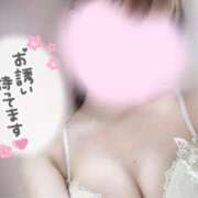 ヒメ日記 2025/06/19 09:57 投稿 めあり いざ候 本館