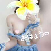 ヒメ日記 2025/06/20 09:27 投稿 めあり いざ候 本館