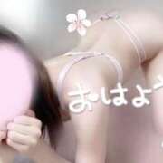 ヒメ日記 2025/06/26 09:57 投稿 めあり いざ候 本館