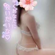 ヒメ日記 2025/06/30 09:47 投稿 めあり いざ候 本館