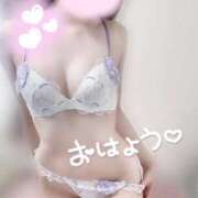 ヒメ日記 2025/07/05 08:47 投稿 めあり いざ候 本館