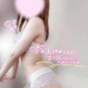 ヒメ日記 2025/07/09 08:47 投稿 めあり いざ候 本館