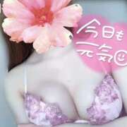 ヒメ日記 2025/07/10 08:57 投稿 めあり いざ候 本館