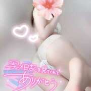 ヒメ日記 2025/07/17 22:47 投稿 めあり いざ候 本館